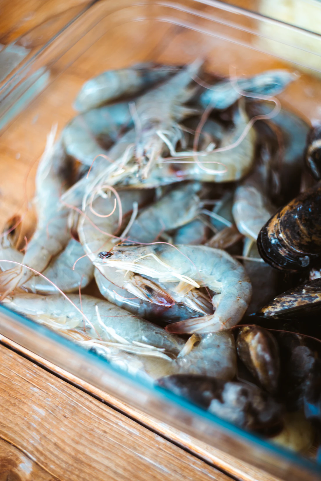 Crevettes et moules fraîches sur la glace